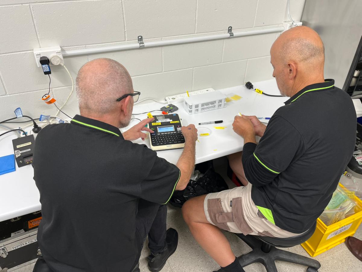 nz team at work