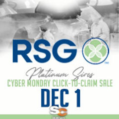 Cyber Monday sale