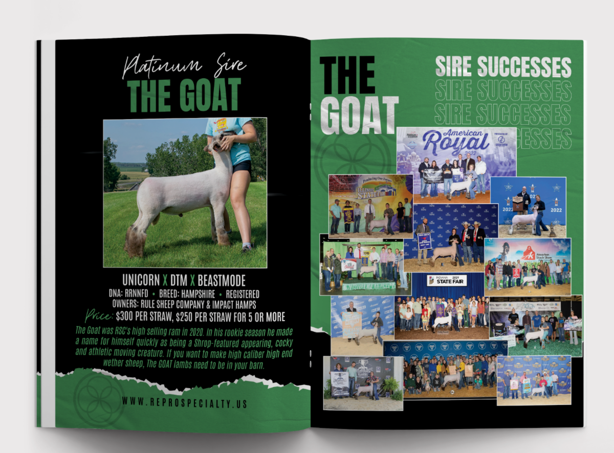 2023 sire catalog mock up