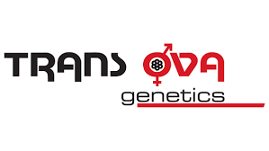 trans ova