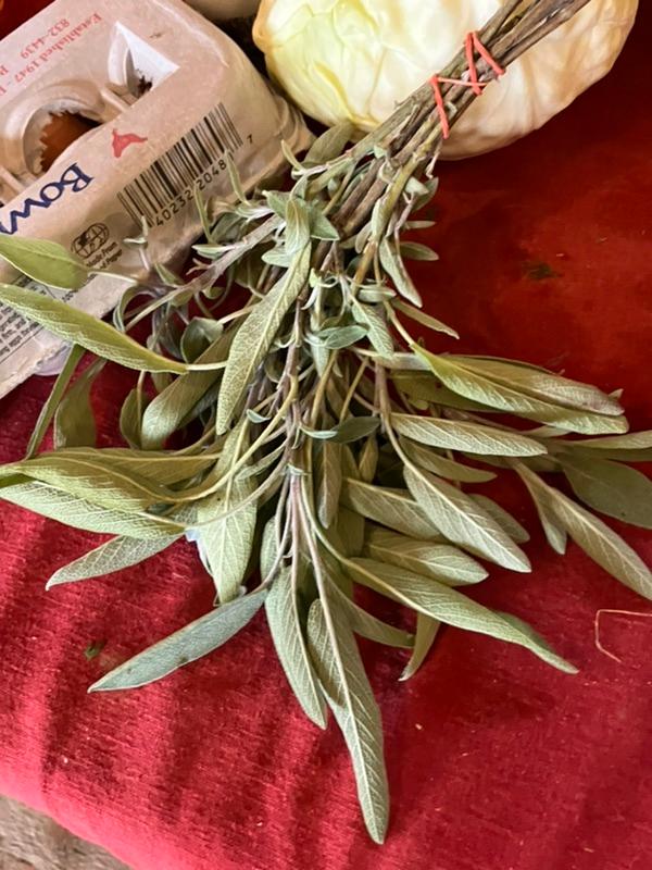 to the Bath Winter Farmers Market at the Freight Shed