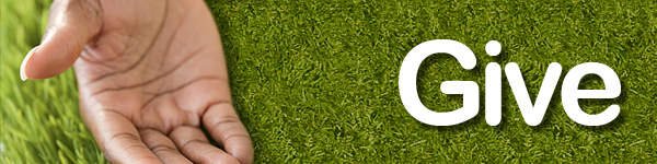 grass_give_hdr.jpg
