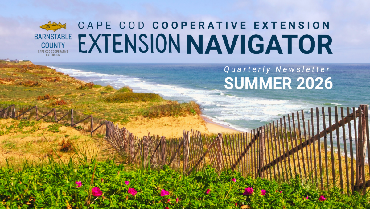 Banner image for the Cape Cod Cooperative Extension's Extension Navigator Summer 2026 quarterly newsletter. The graphic features a scenic Cape Cod coastal landscape with sandy dunes, beach grass, weathered fencing, ocean waves, and blooming beach roses in 