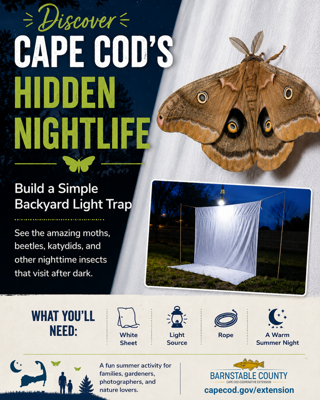 Promotional graphic about building a backyard insect light trap on Cape Cod, featuring a Polyphemus moth, a white sheet illuminated at night, and simple materials needed to attract and observe nighttime insects.