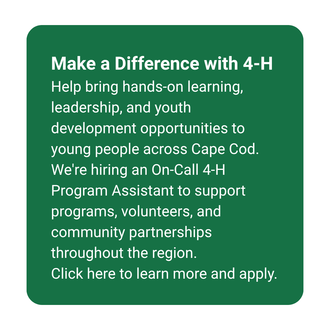 Graphic recruiting an On-Call 4-H Program Assistant. Text explains the position supports youth programs, volunteers, and community partnerships across Cape Cod and invites applicants to learn more and apply.