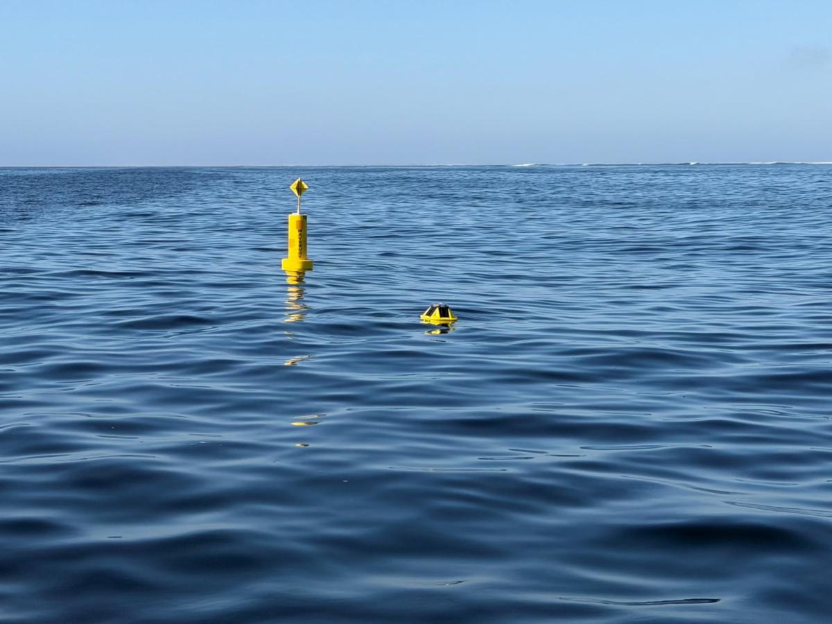 Yellow wave buoy floating in calm ocean waters off Cape Cod, collecting real-time wave and weather data under a clear blue sky.