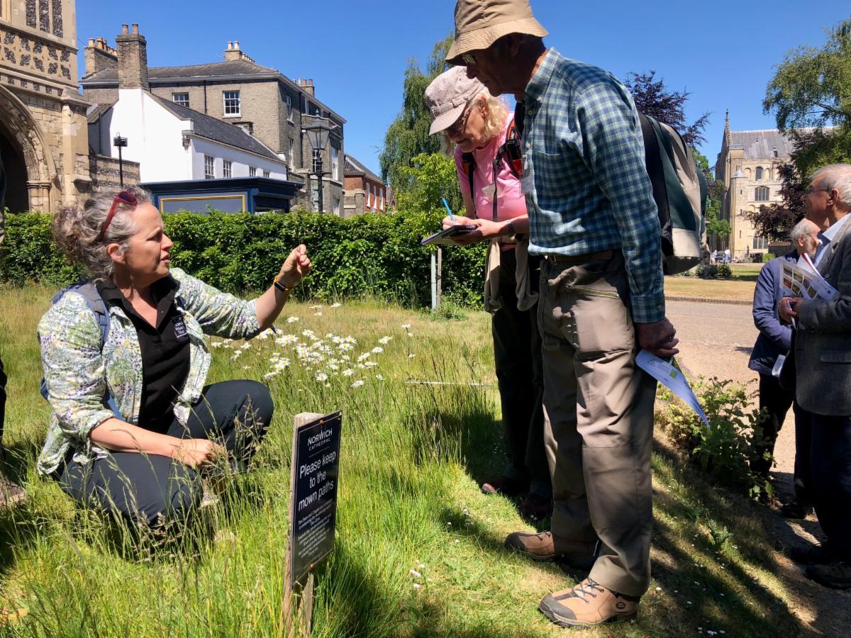 Sacred Spaces wildlife workshop