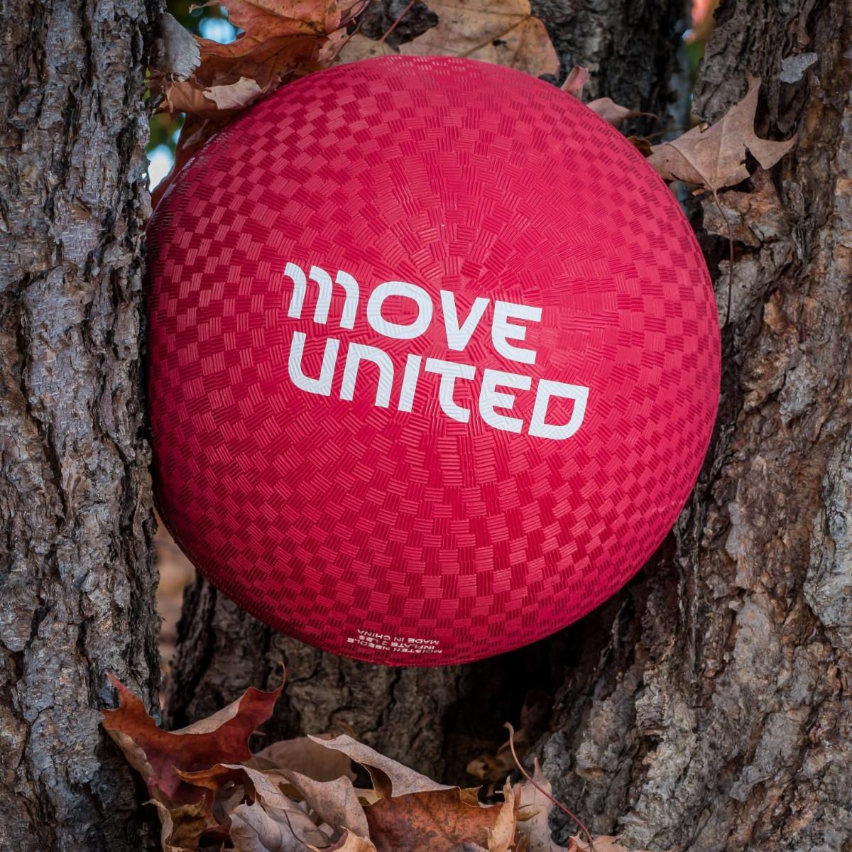 Red rubber ball with Move United logo on it, sitting in the branches of a tree