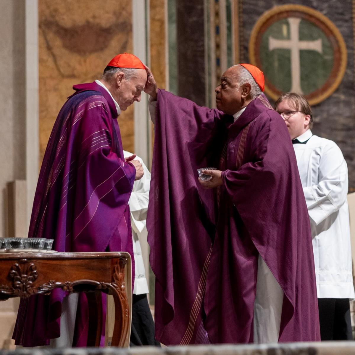 CS photos by Mihoko Owada