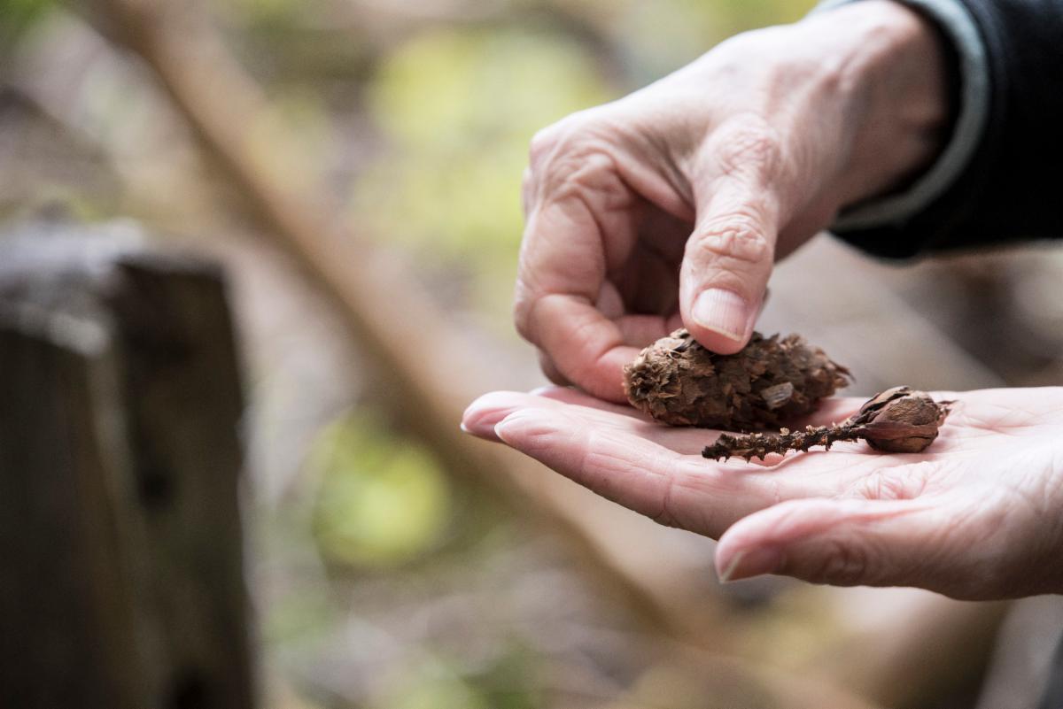 A look back at OSU Extension in Washington and Multnomah Counties