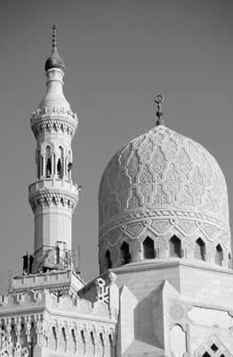 white-mosque.jpg