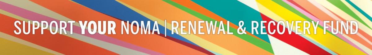 NOMA - Support_Renewal_Recovery