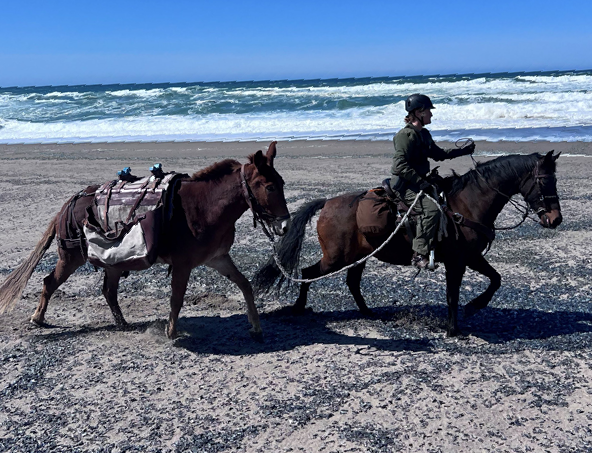 A rider on a horse leads a mule behind them, walking on a sandy beach filled with debris.