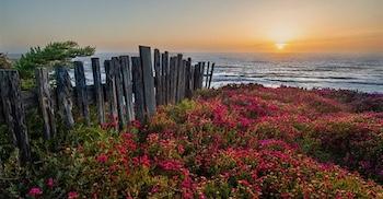 A rugged coastline at sunset