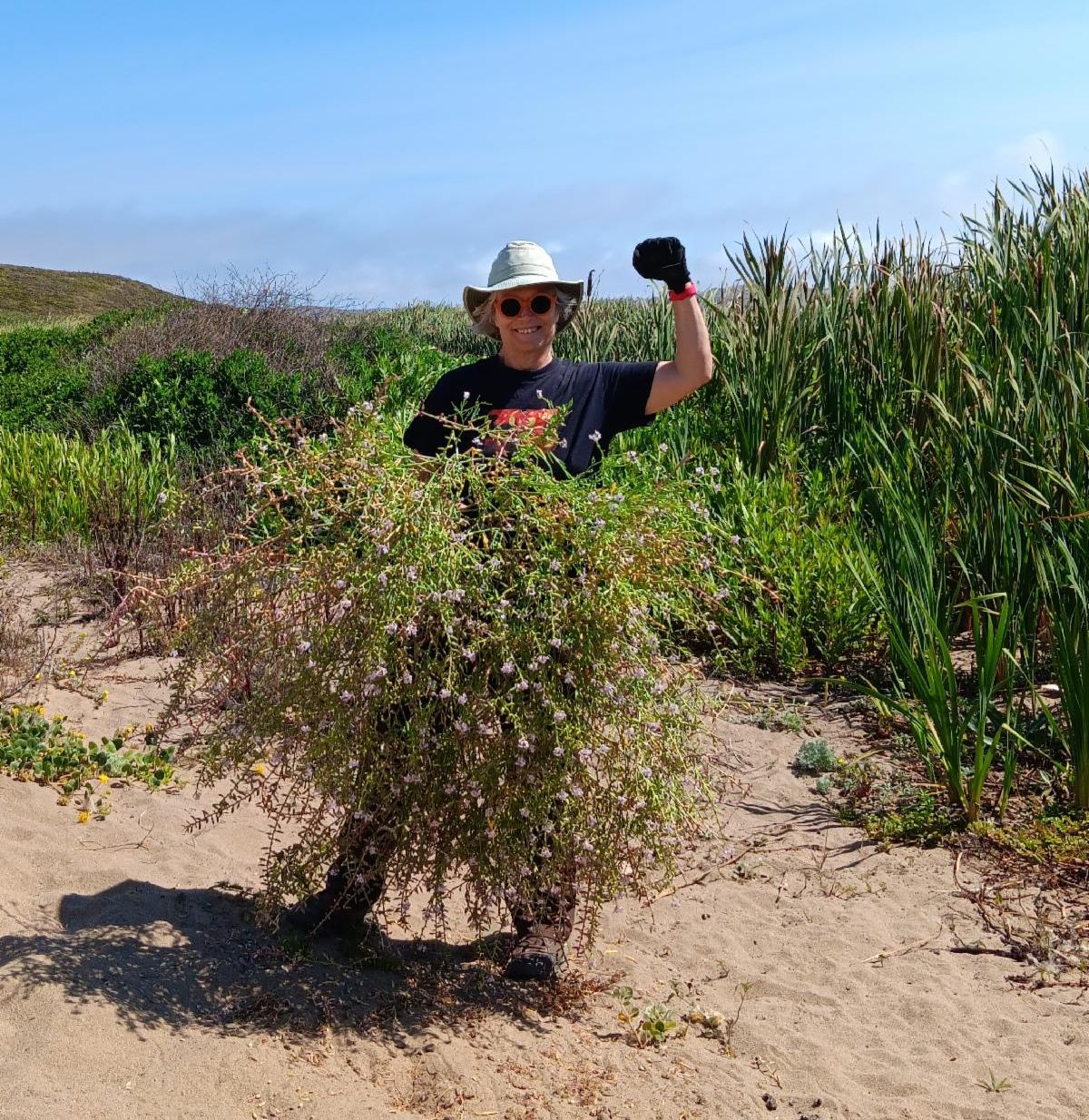 Someone in a hat and sunglasses standing on a beach holding a large pile of weeds with a triumphant raised fist.