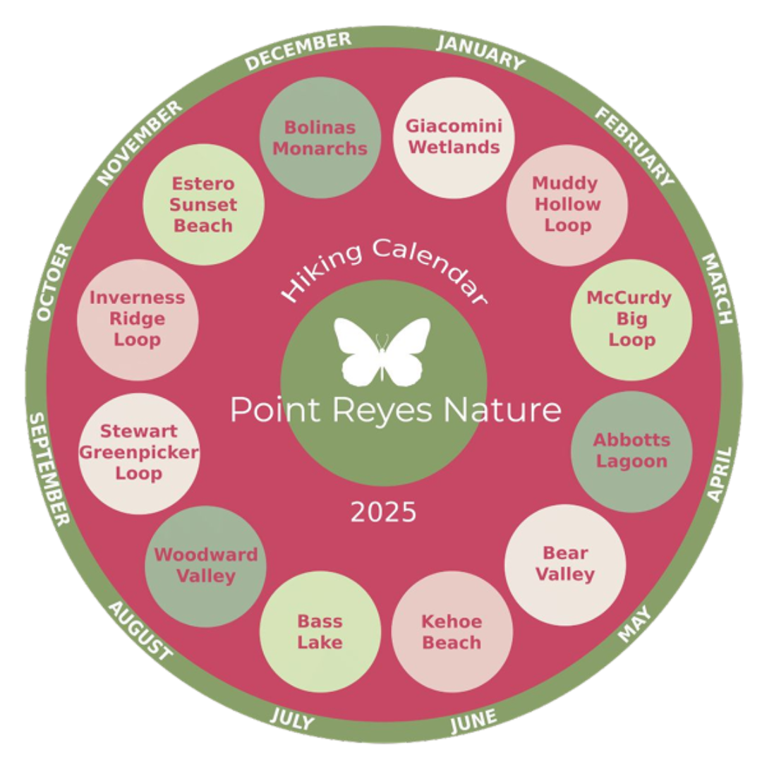 A graphic of a circle with a pink inside and green border. The months of the year are around the edge of the circle and each has a Point Reyes Hike paired with it. Text reading "2025 Point Reyes Hiking Calendar" is in the center of the circle.