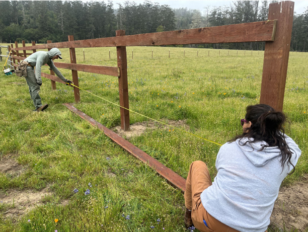 Two people are kneeling in the grass working on replacing a brown wooden fence.