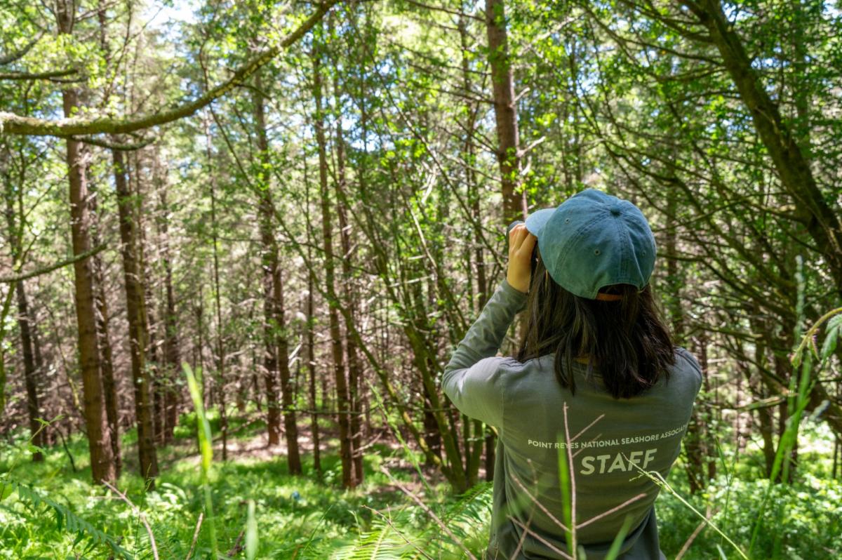 Aiko with her back turned to the camera looking through binoculars in a green forest