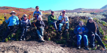 A group of people sitting atop a large pile of ice plant they have removed on a beach.
