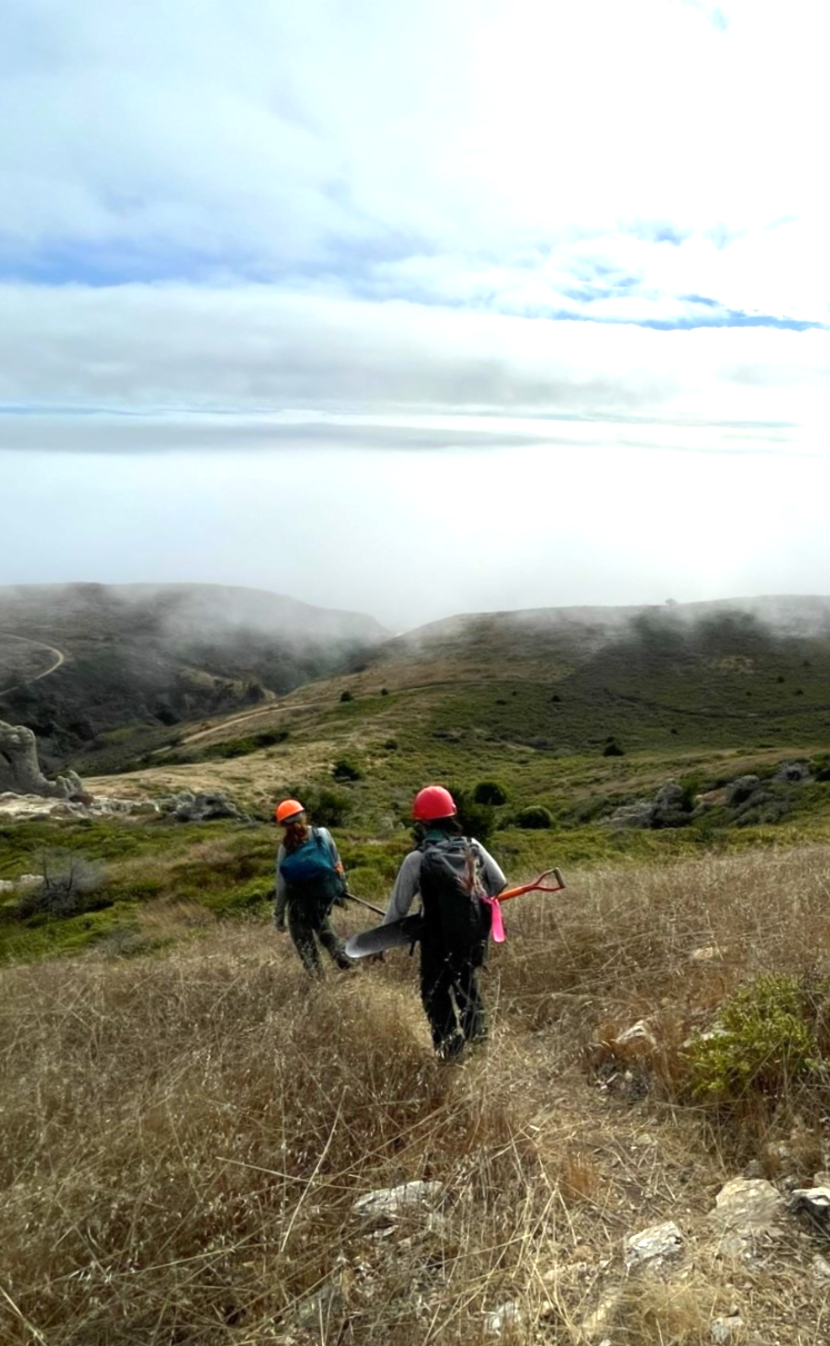 Two people wearing bright orange helmets and work clothes walk along a pathway.