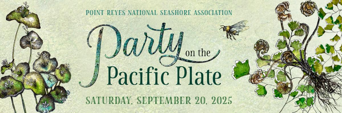 A light green banner with watercolor details reads "Party on the Pacific Plate" and is decorated by paintings of plants and a bumblebee.