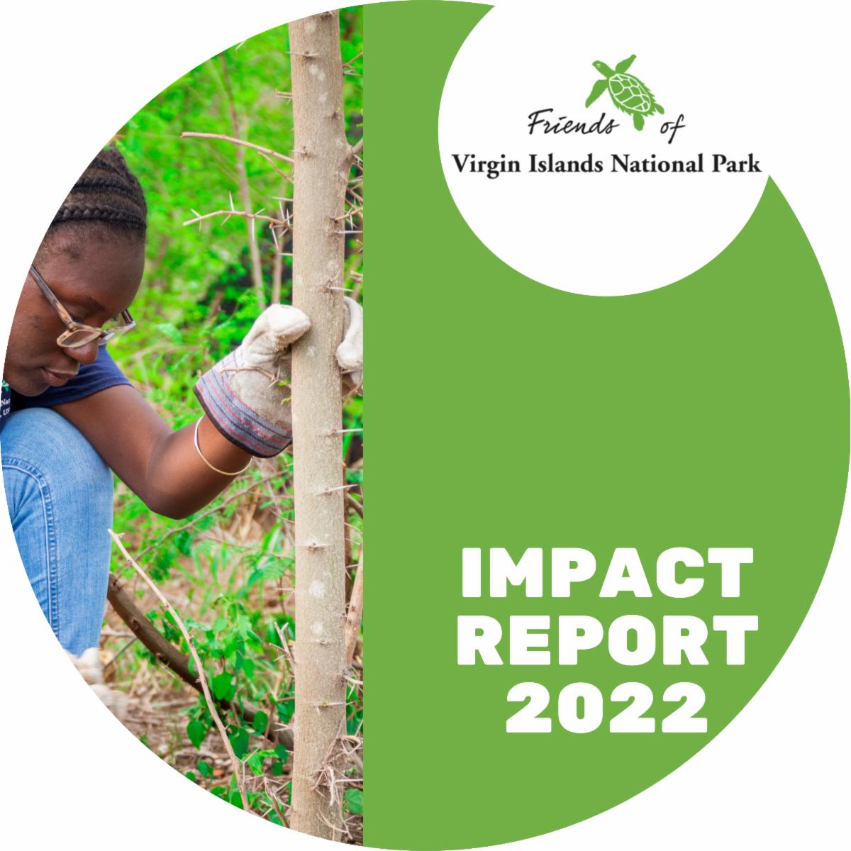 Impact report 2022