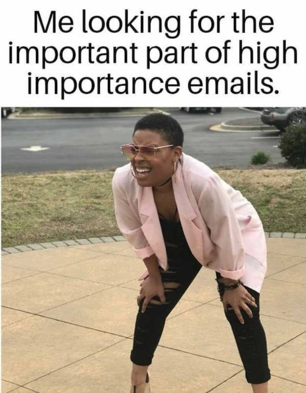 Me looking for the important part of high importance emails