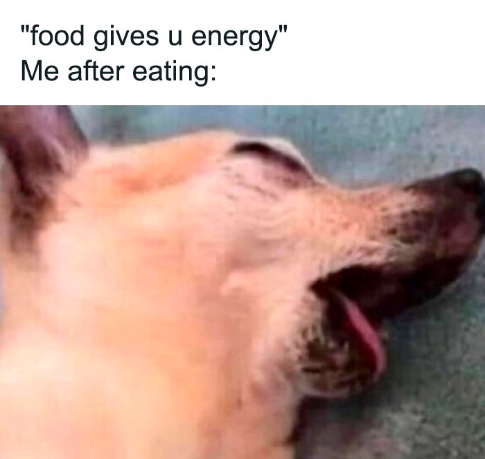 "food gives you energy" me after eating