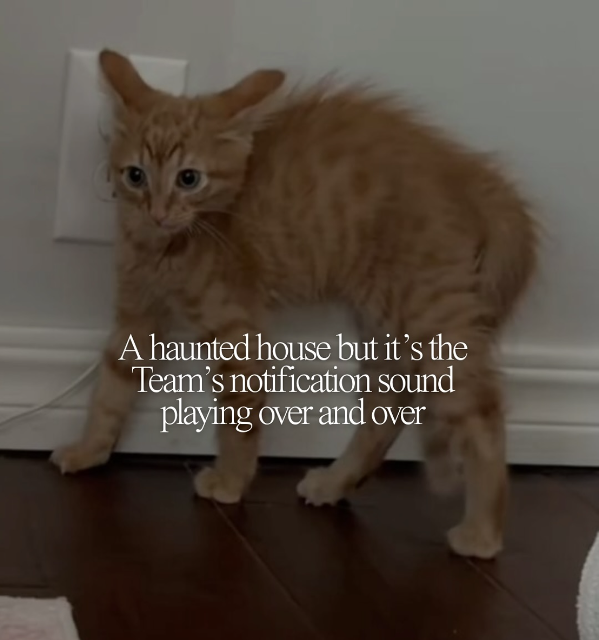 A haunted house but it's the Team's notification sound playing over and over