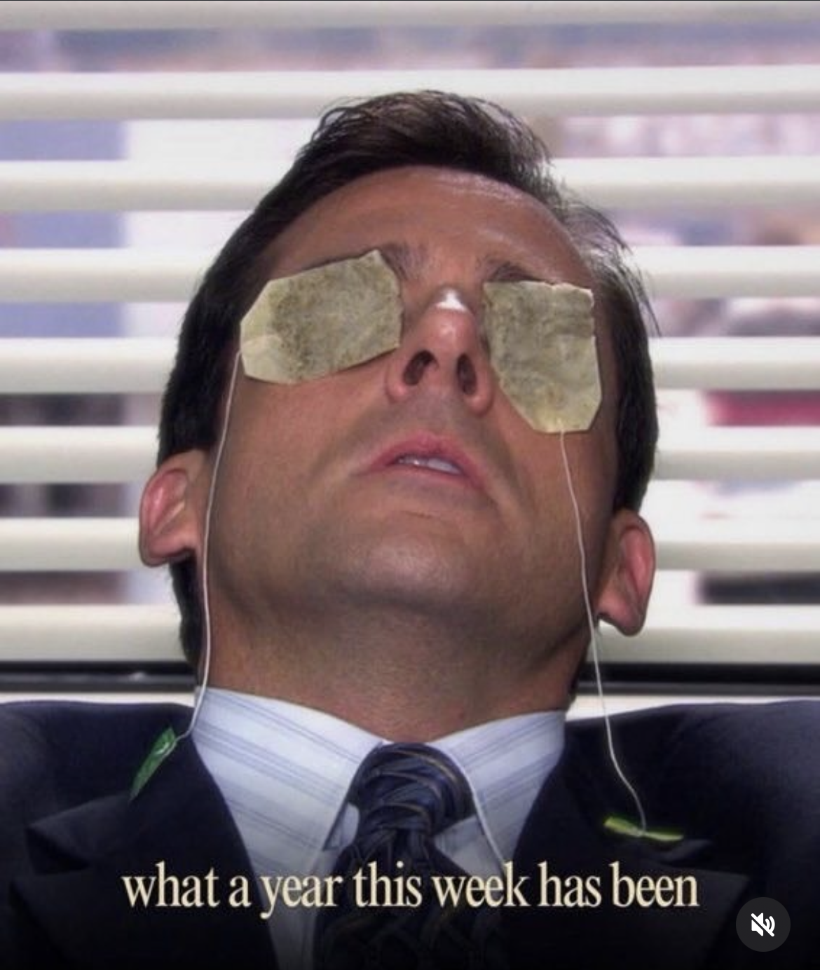 what a year this week has been