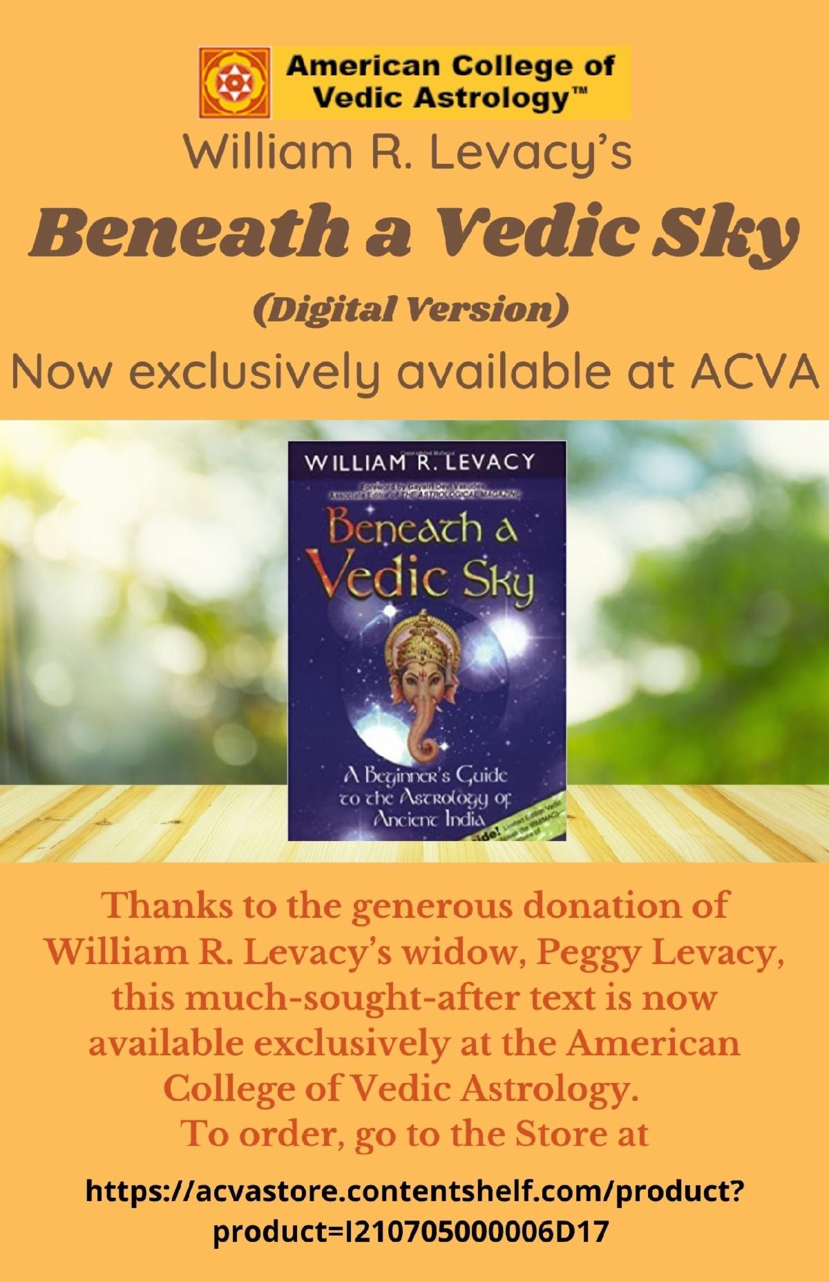 book flyer.jpg