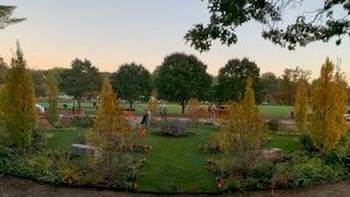 New garden at Livingston Park 