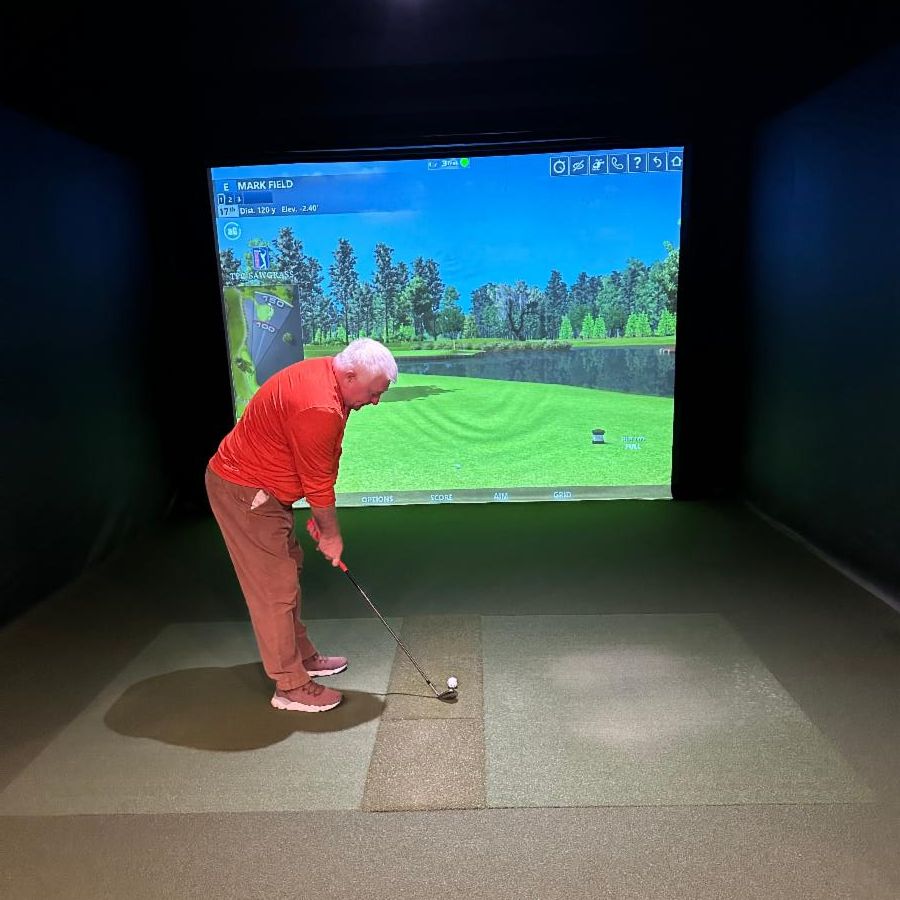 Person using indoor golf simulator