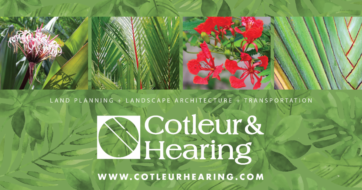 February Plant of the Month