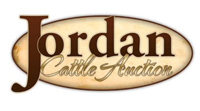 branding logo