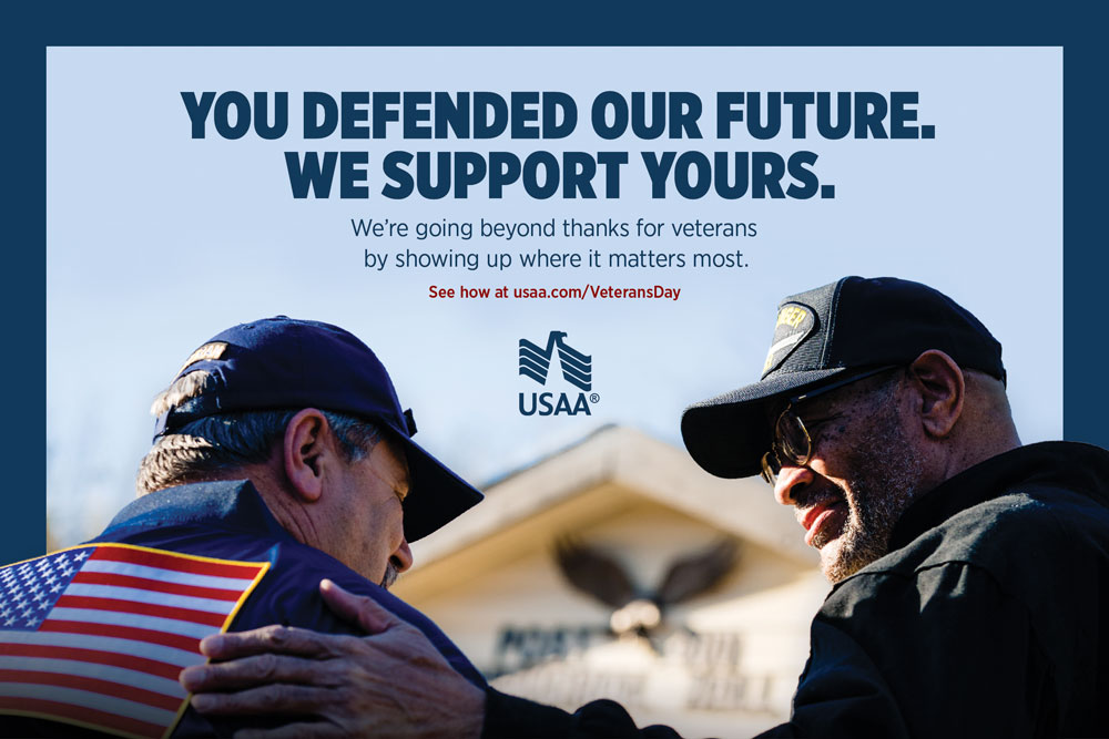 usaa veterans day promotion