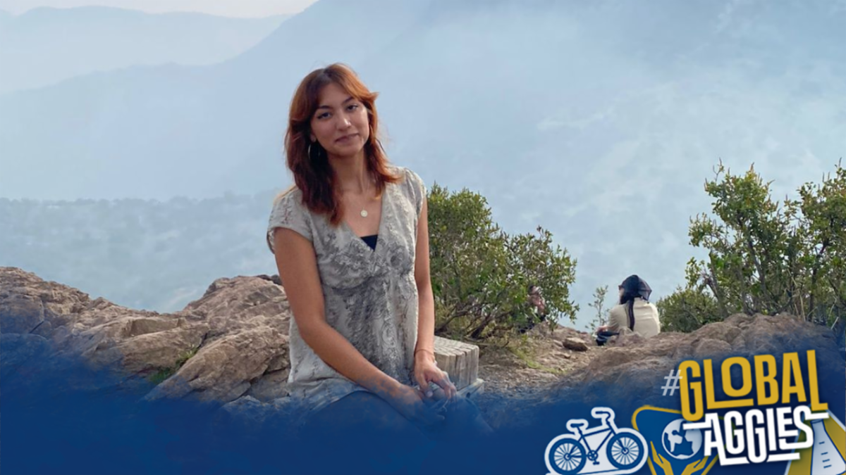 Smiling woman on rocky outcrop with misty blue mountains; Global Aggies logo
