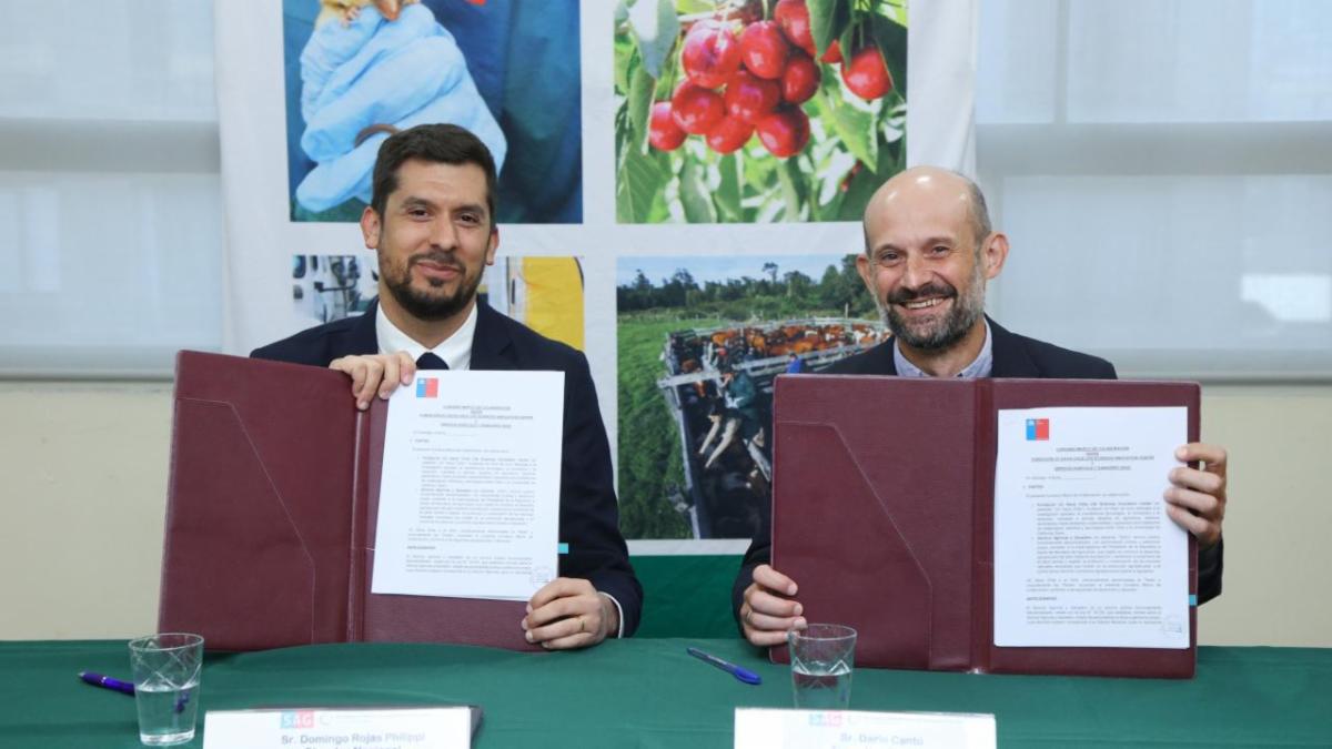 Representatives of Chile’s Agricultural and Livestock Service and UC Davis Chile hold signed partnership agreements.