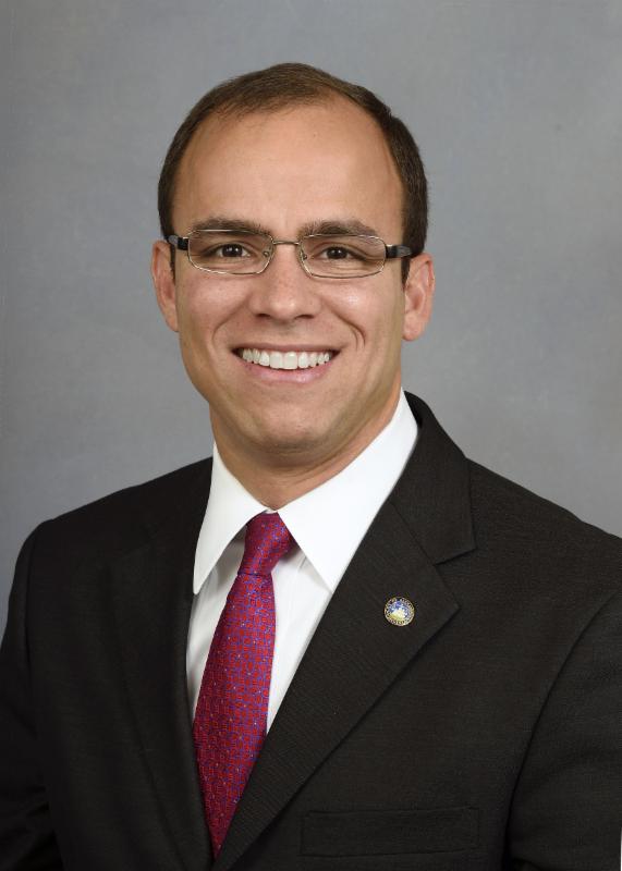 Council Portrait