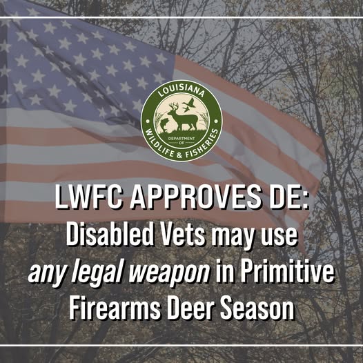 Picture is of a flyer that depicts woods with an American flag in the background the seal of Louisiana Wildlife and Fisheries in a green circle and wildlife animals underneath are the words LWFC approves DE Disabled vets may use any legal weapon in primitive firearms deer season
