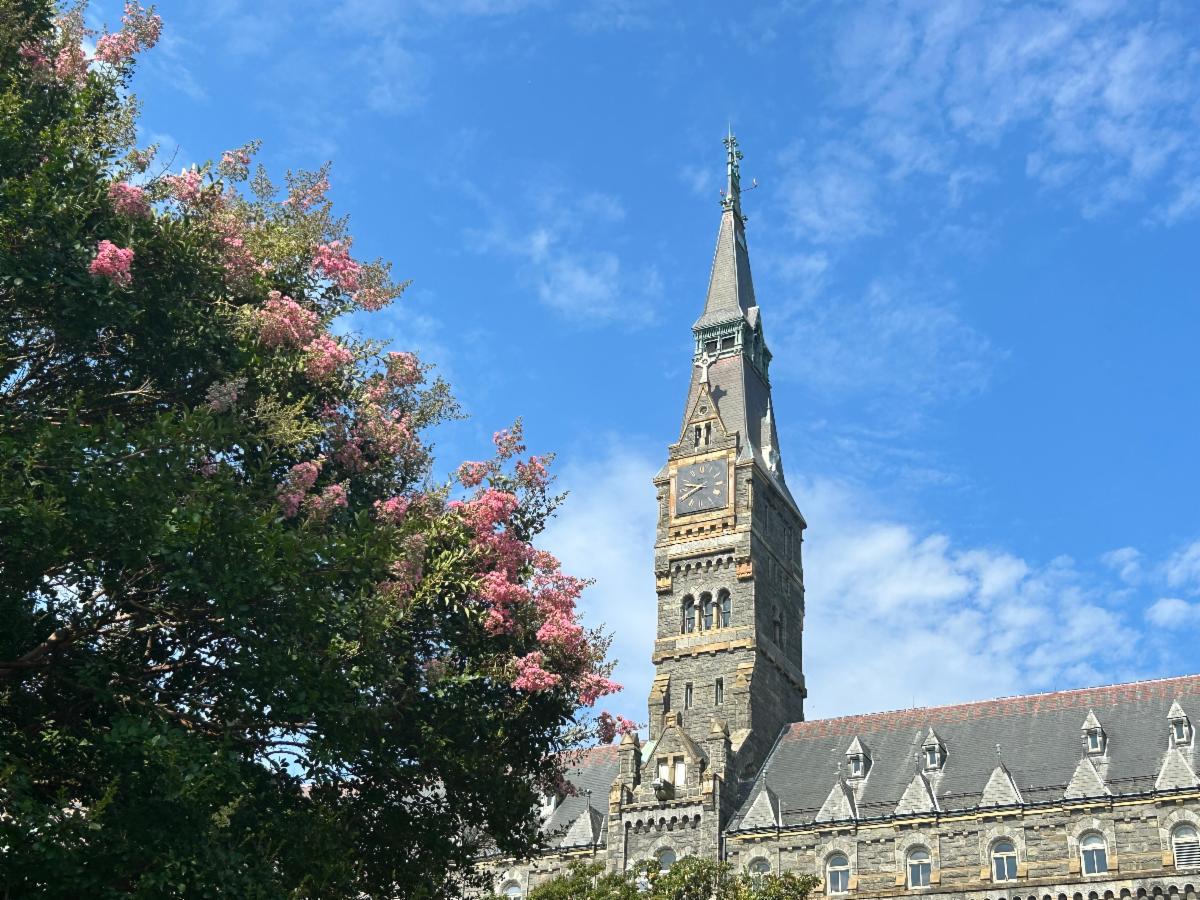 Healy Hall with crepe myrtle in front and a blue sky behind