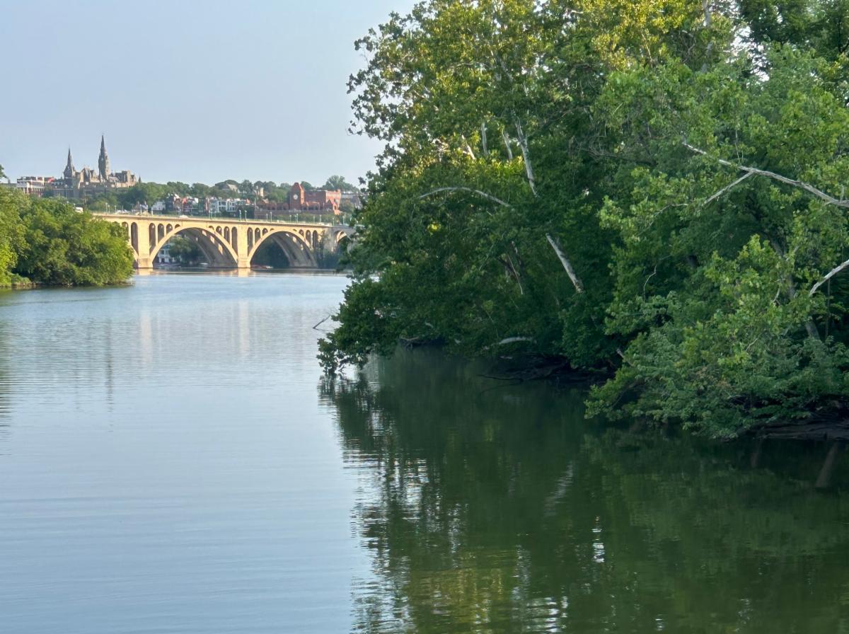 Georgetown University and Key Bridge from Roosevelt Island bridge with Potomac River and green foliage in foreground - photo by Cessato