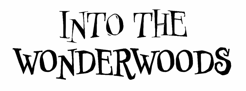 Shout! Studios' Magical 'Into the Wonderwoods' Debuts on Digital, VOD June 24