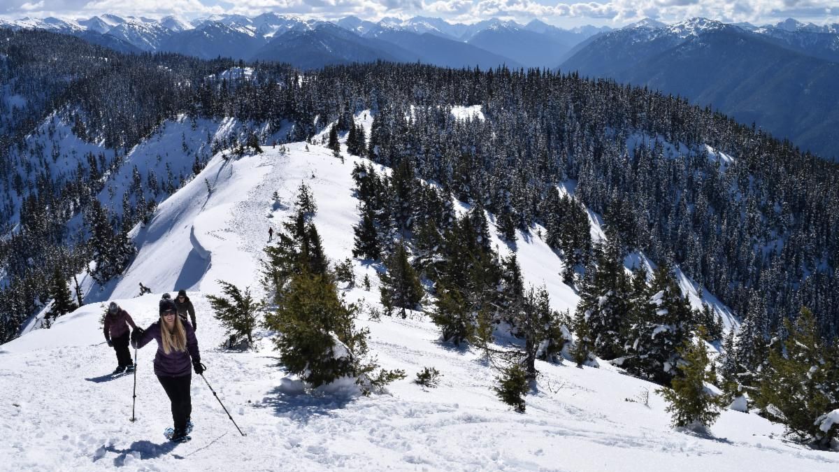 Credit Olympic Hiking Co