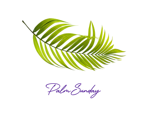 Palm Sunday image