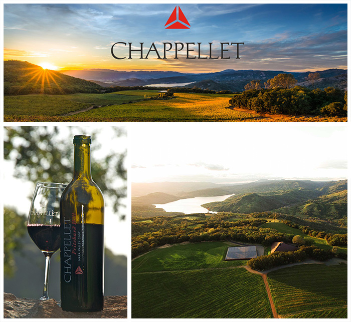Chappellet Pritchard Hill Cabernet Sauvignon