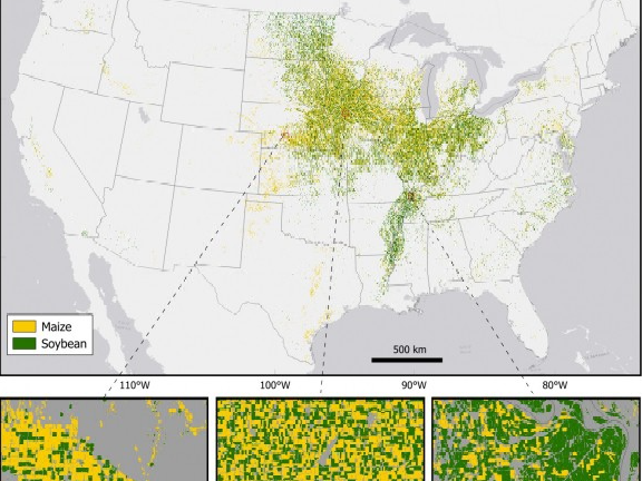 A map of the United States showing the geographic distribution of maize and soybean crops, primarily concentrated in the Midwest and along the Mississippi River.