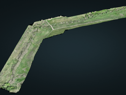 A 3D point cloud rendering of a long, angled section of land against a solid dark gray background, generated from a drone survey. The rendering displays realistic RGB color values, showing a lush green landscape featuring a distinct line of trees, grassy fields, and intersecting dirt paths or trails running alongside a stream corridor.