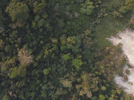 Aerial view of a dense green tropical forest adjacent to a cleared, light-gray patch of deforested or eroded land.