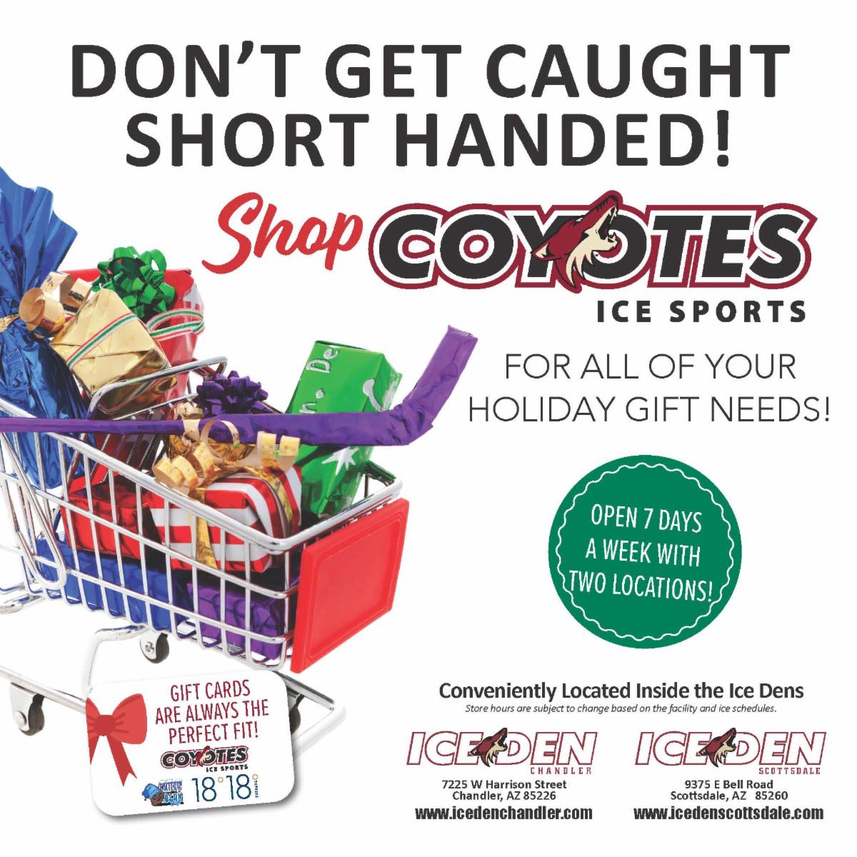 Ice Den Chandler Public Skate Information